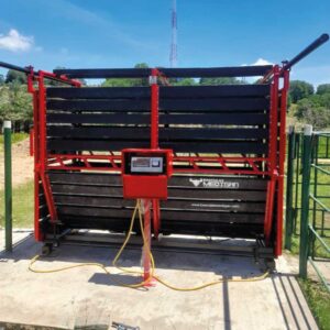 Báscula ganadera md bm 3500