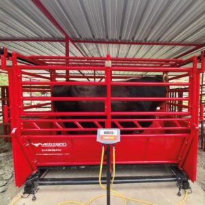 Báscula ganadera md bm 4000