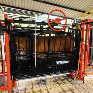 Brete solo - Brete bascula master pro 5000