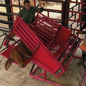 Brete volcador terneros plus 2000